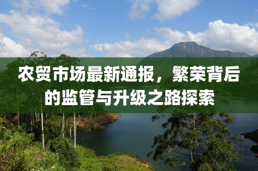 农贸市场最新通报，繁荣背后的监管与升级之路探索