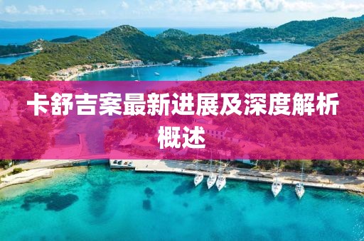 卡舒吉案最新进展及深度解析概述