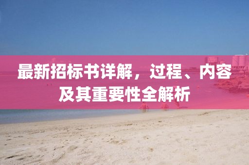 最新招标书详解，过程、内容及其重要性全解析