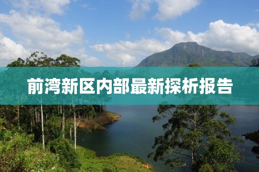 前湾新区内部最新探析报告