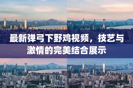 最新弹弓下野鸡视频，技艺与激情的完美结合展示