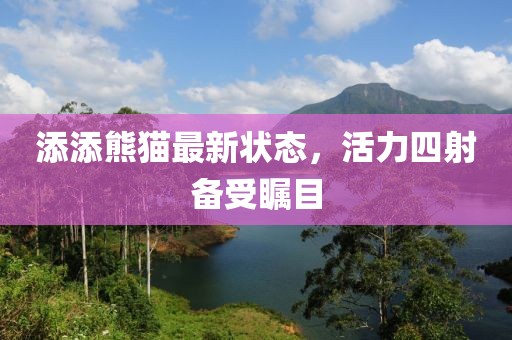 添添熊猫最新状态，活力四射备受瞩目