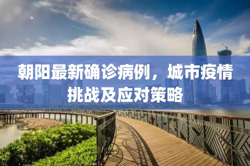 朝阳最新确诊病例，城市疫情挑战及应对策略
