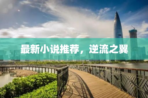 最新小说推荐，逆流之翼