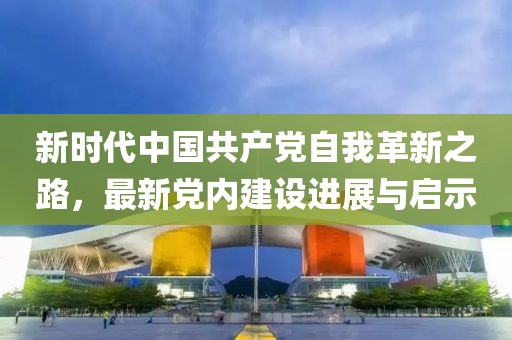 新时代中国共产党自我革新之路，最新党内建设进展与启示