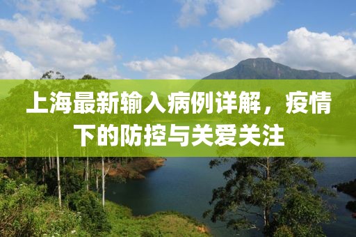 上海最新输入病例详解，疫情下的防控与关爱关注