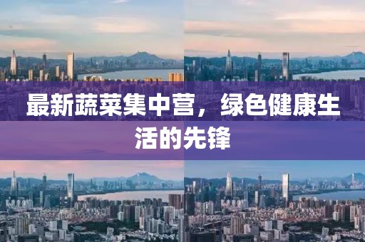 最新蔬菜集中营，绿色健康生活的先锋