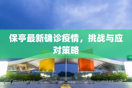 保亭最新确诊疫情，挑战与应对策略