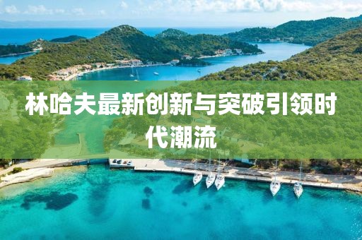 林哈夫最新创新与突破引领时代潮流