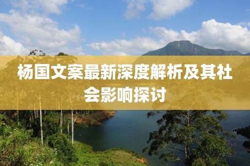 杨国文案最新深度解析及其社会影响探讨