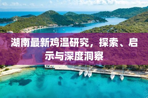 湖南最新鸡温研究，探索、启示与深度洞察