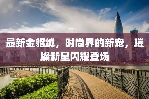 最新金貂绒，时尚界的新宠，璀璨新星闪耀登场