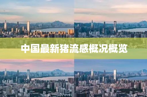 中国最新猪流感概况概览