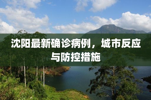 沈阳最新确诊病例，城市反应与防控措施