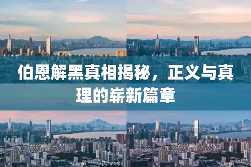 伯恩解黑真相揭秘，正义与真理的崭新篇章