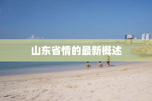 山东省情的最新概述