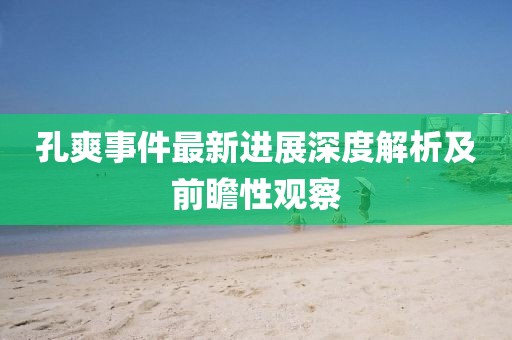 孔爽事件最新进展深度解析及前瞻性观察