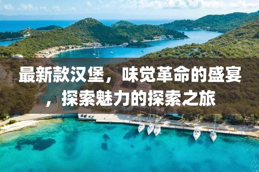 最新款汉堡，味觉革命的盛宴，探索魅力的探索之旅