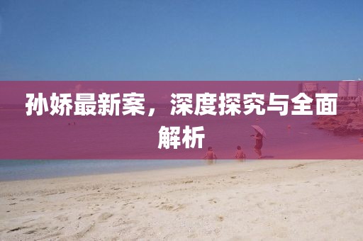 孙娇最新案，深度探究与全面解析