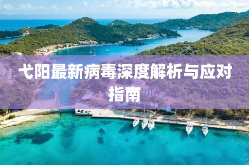弋阳最新病毒深度解析与应对指南