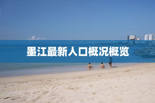 墨江最新人口概况概览