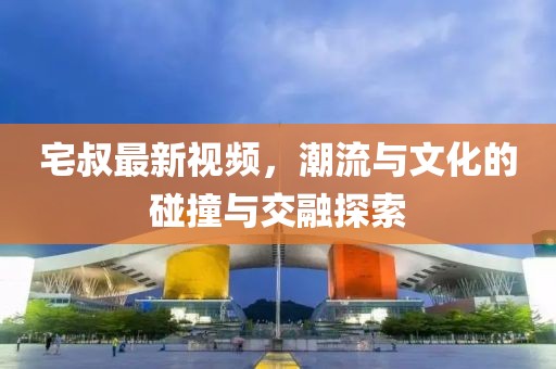 宅叔最新视频，潮流与文化的碰撞与交融探索