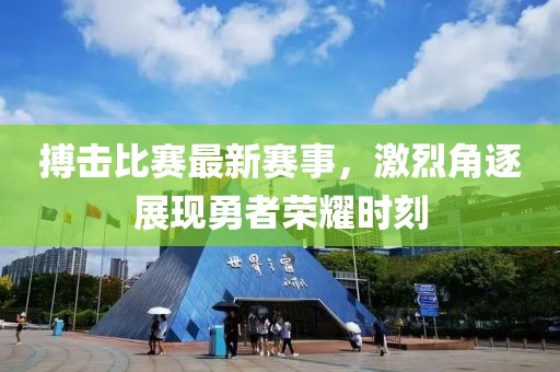 搏击比赛最新赛事，激烈角逐展现勇者荣耀时刻