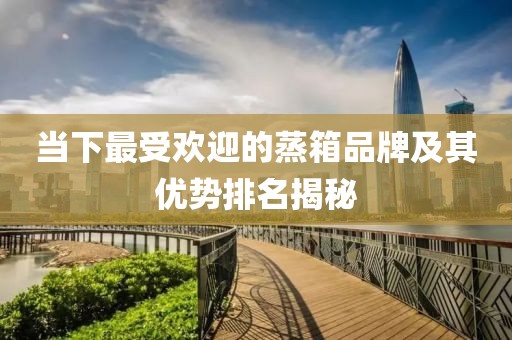 当下最受欢迎的蒸箱品牌及其优势排名揭秘