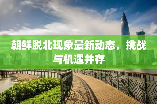 朝鲜脱北现象最新动态，挑战与机遇并存