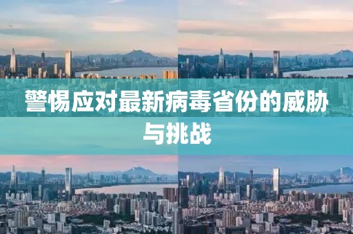 警惕应对最新病毒省份的威胁与挑战