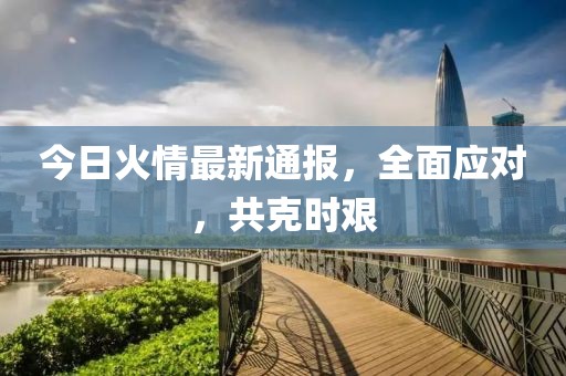 今日火情最新通报，全面应对，共克时艰