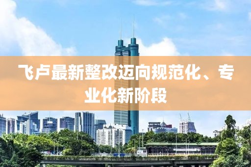 飞卢最新整改迈向规范化、专业化新阶段