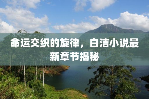 命运交织的旋律，白洁小说最新章节揭秘