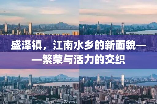 盛泽镇，江南水乡的新面貌——繁荣与活力的交织