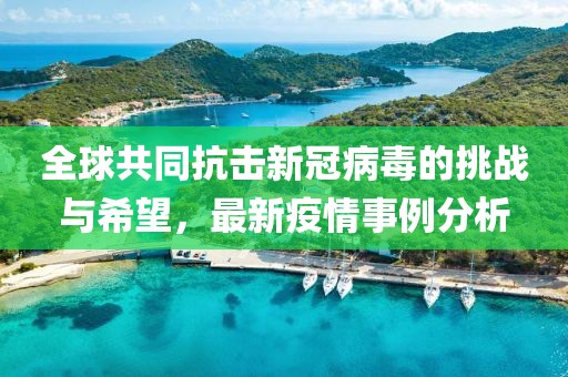 全球共同抗击新冠病毒的挑战与希望，最新疫情事例分析