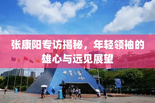 张康阳专访揭秘，年轻领袖的雄心与远见展望