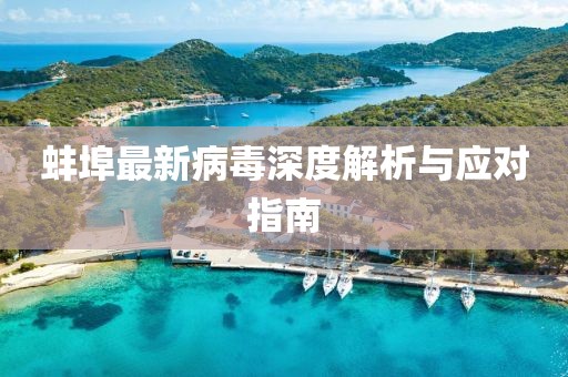 蚌埠最新病毒深度解析与应对指南