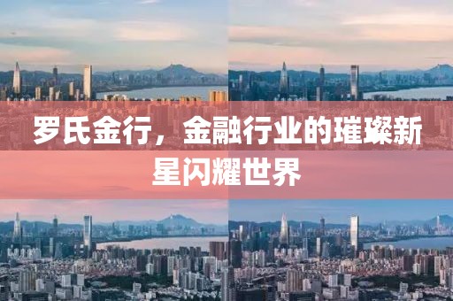 罗氏金行，金融行业的璀璨新星闪耀世界
