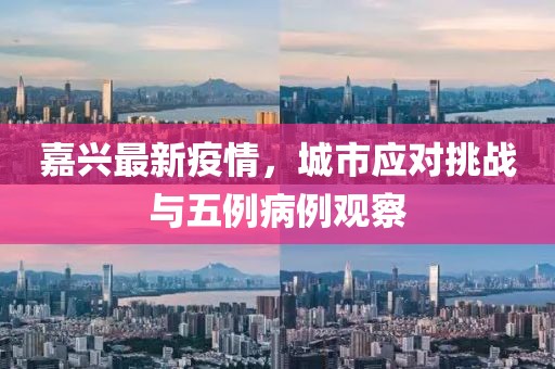 嘉兴最新疫情，城市应对挑战与五例病例观察