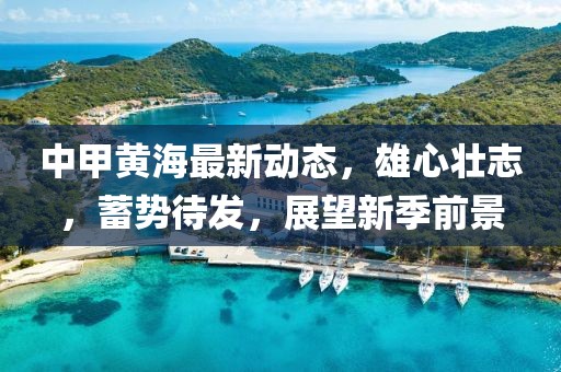 中甲黄海最新动态，雄心壮志，蓄势待发，展望新季前景