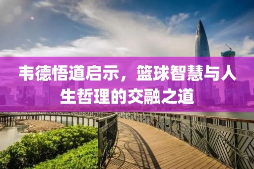 韦德悟道启示，篮球智慧与人生哲理的交融之道