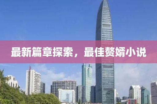 最新篇章探索，最佳赘婿小说