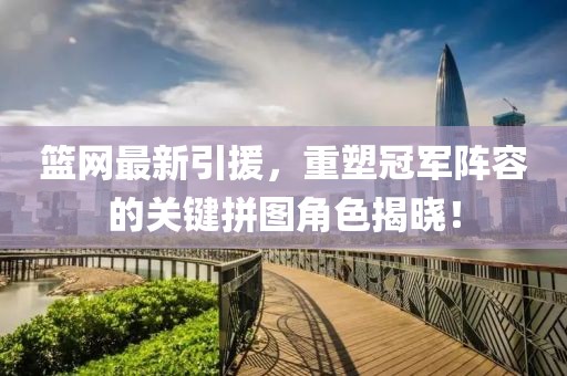篮网最新引援，重塑冠军阵容的关键拼图角色揭晓！
