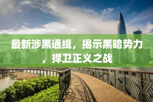 最新涉黑通缉，揭示黑暗势力，捍卫正义之战
