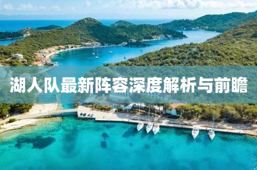 湖人队最新阵容深度解析与前瞻
