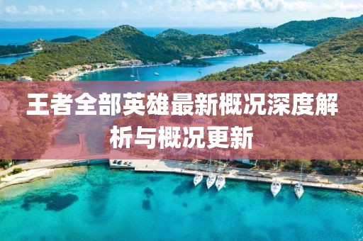 王者全部英雄最新概况深度解析与概况更新