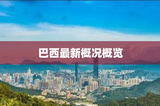 巴西最新概况概览