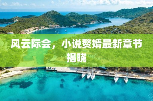 风云际会，小说赘婿最新章节揭晓