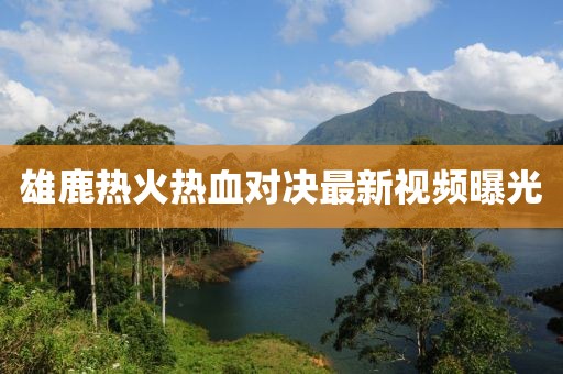 雄鹿热火热血对决最新视频曝光