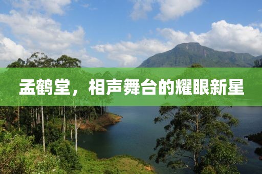 孟鹤堂，相声舞台的耀眼新星